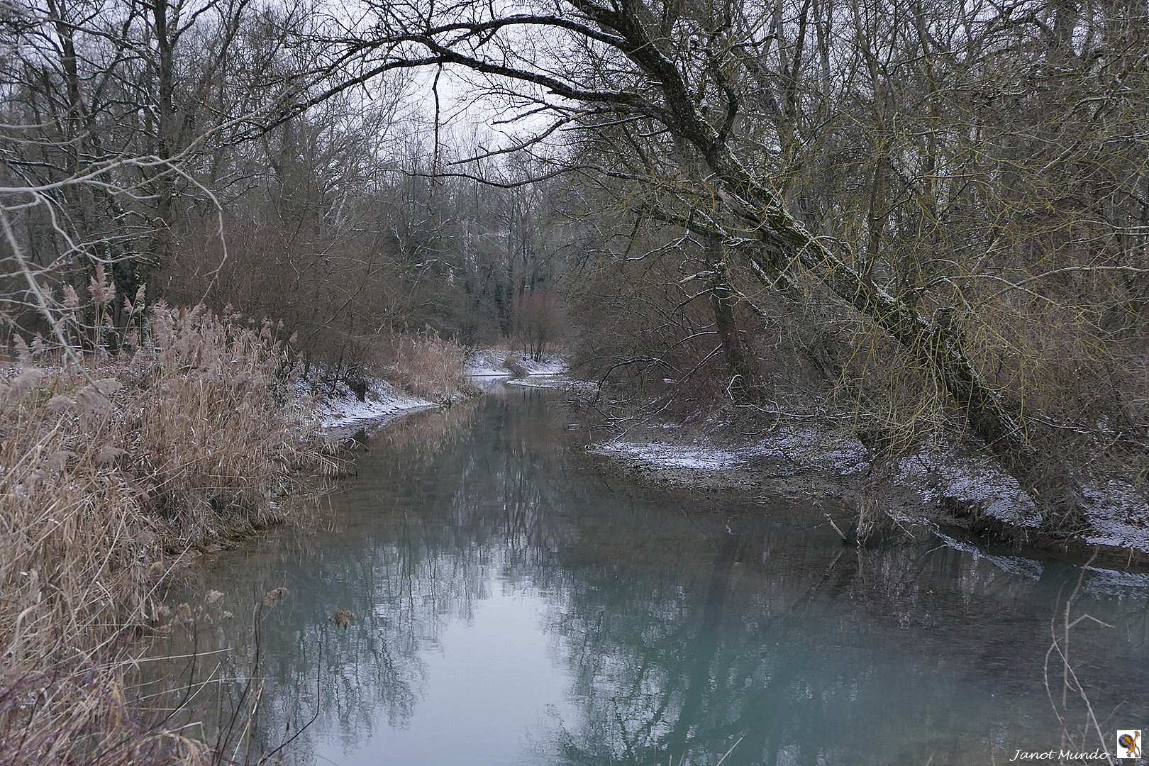 dans le Ried Alsacien