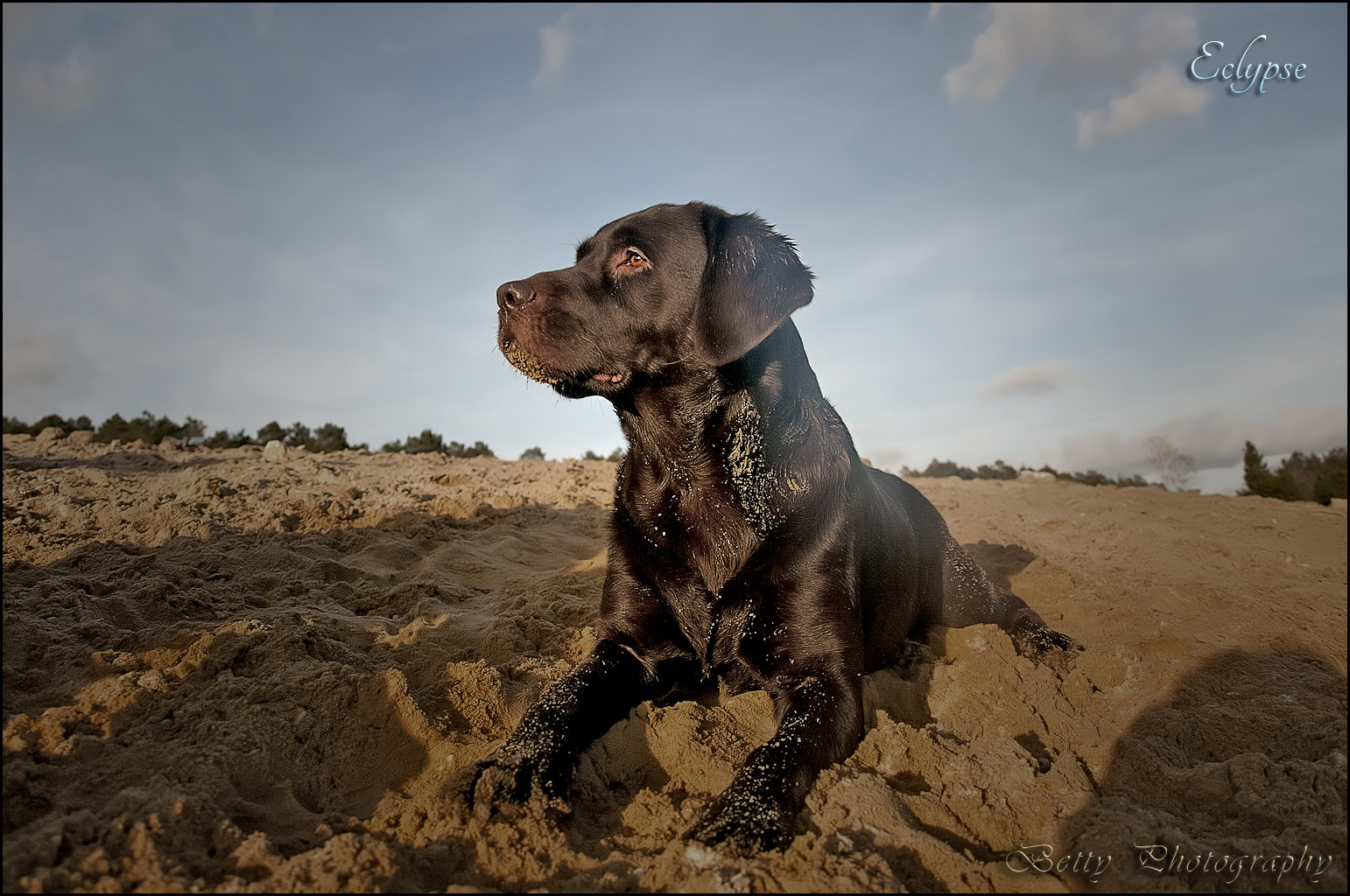 Dans le sable