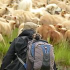 * dans le sac à dos *