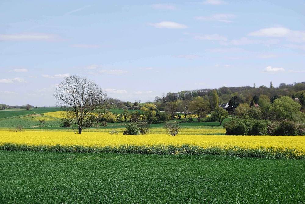 dans le val d'oise