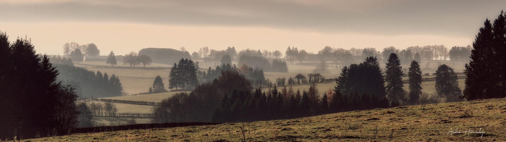 Dans le val, ma solitude me plaisait