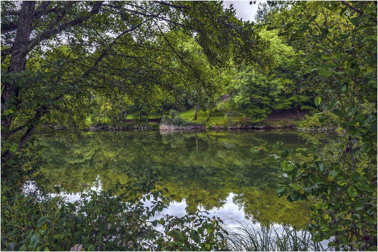 Dans le vert au bord de l'Ain