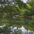 Dans le vert au bord de l'Ain