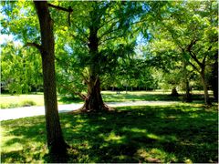 Dans le vert de l'été