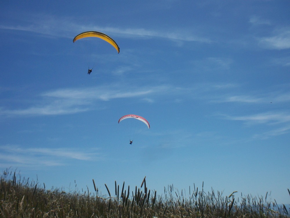 dans les airs