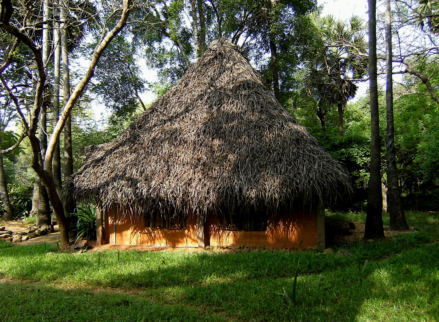 Dans les bois d'Auroville ! ...