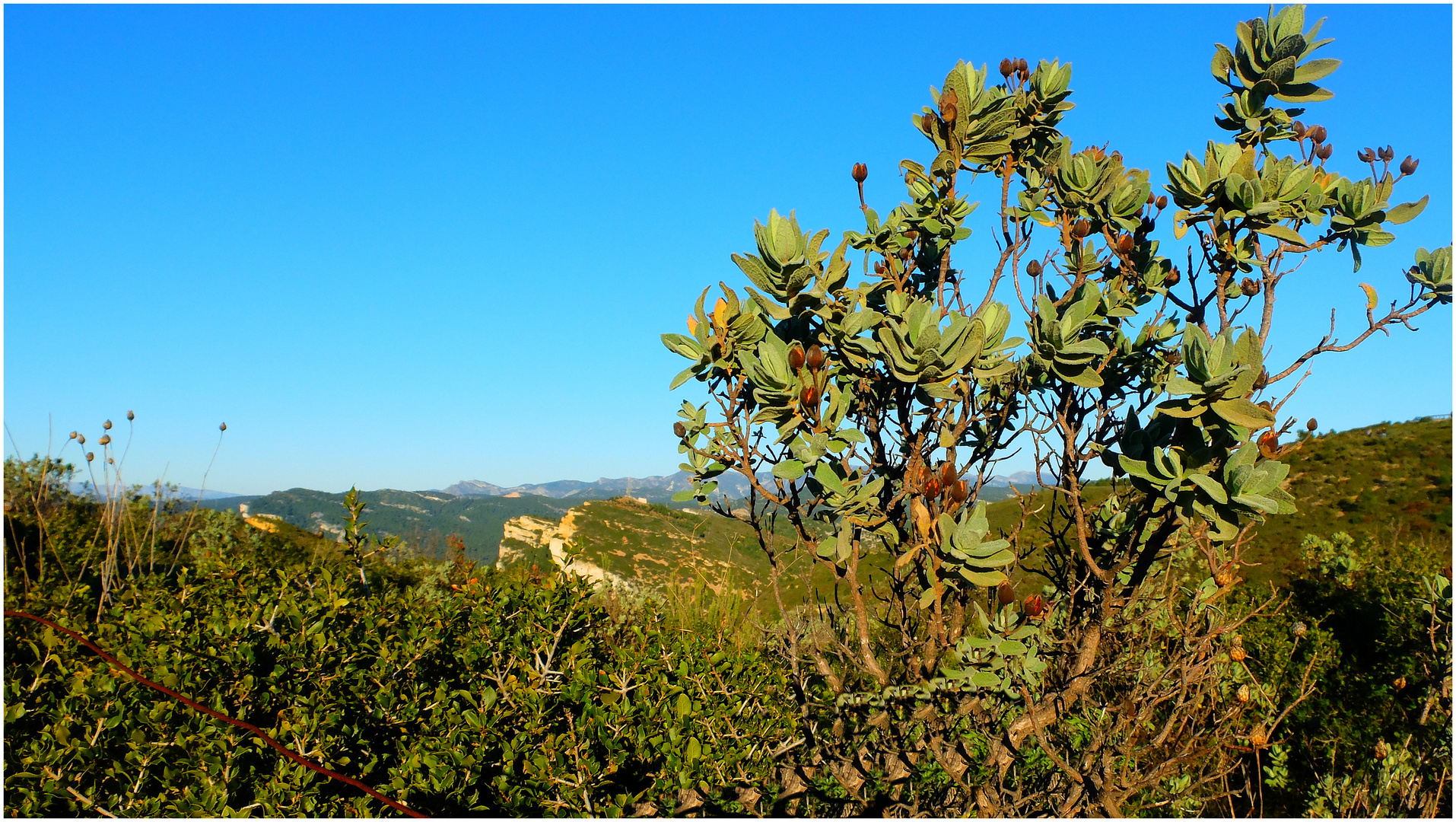 Dans les calanques (3)