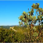 Dans les calanques (3)