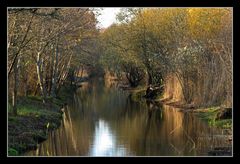 " Dans les canaux du polder "