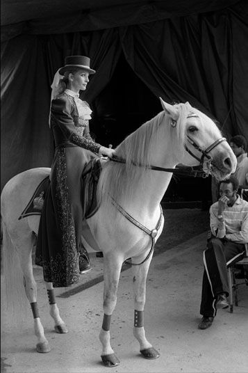 Dans les coulisses du cirque Knie 1979