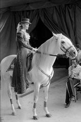 Dans les coulisses du cirque Knie 1979