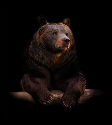 Dans les derniers rayons de soleil