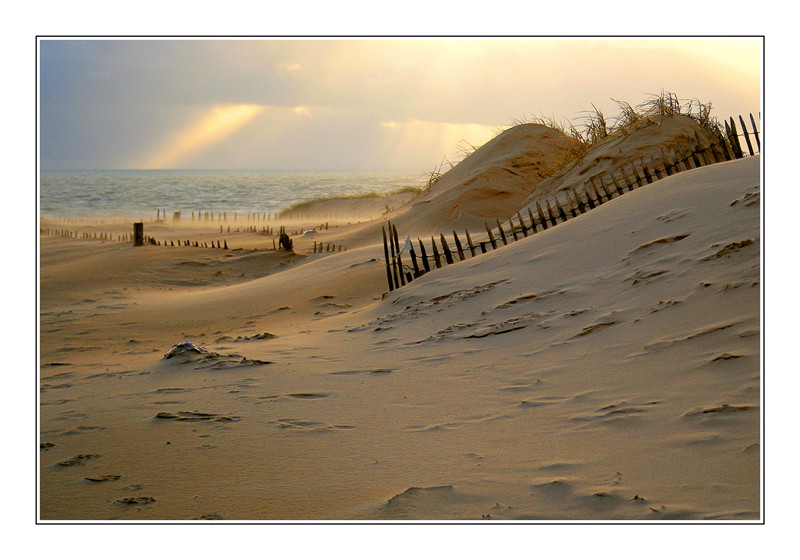 Dans les dunes