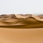 Dans les dunes...