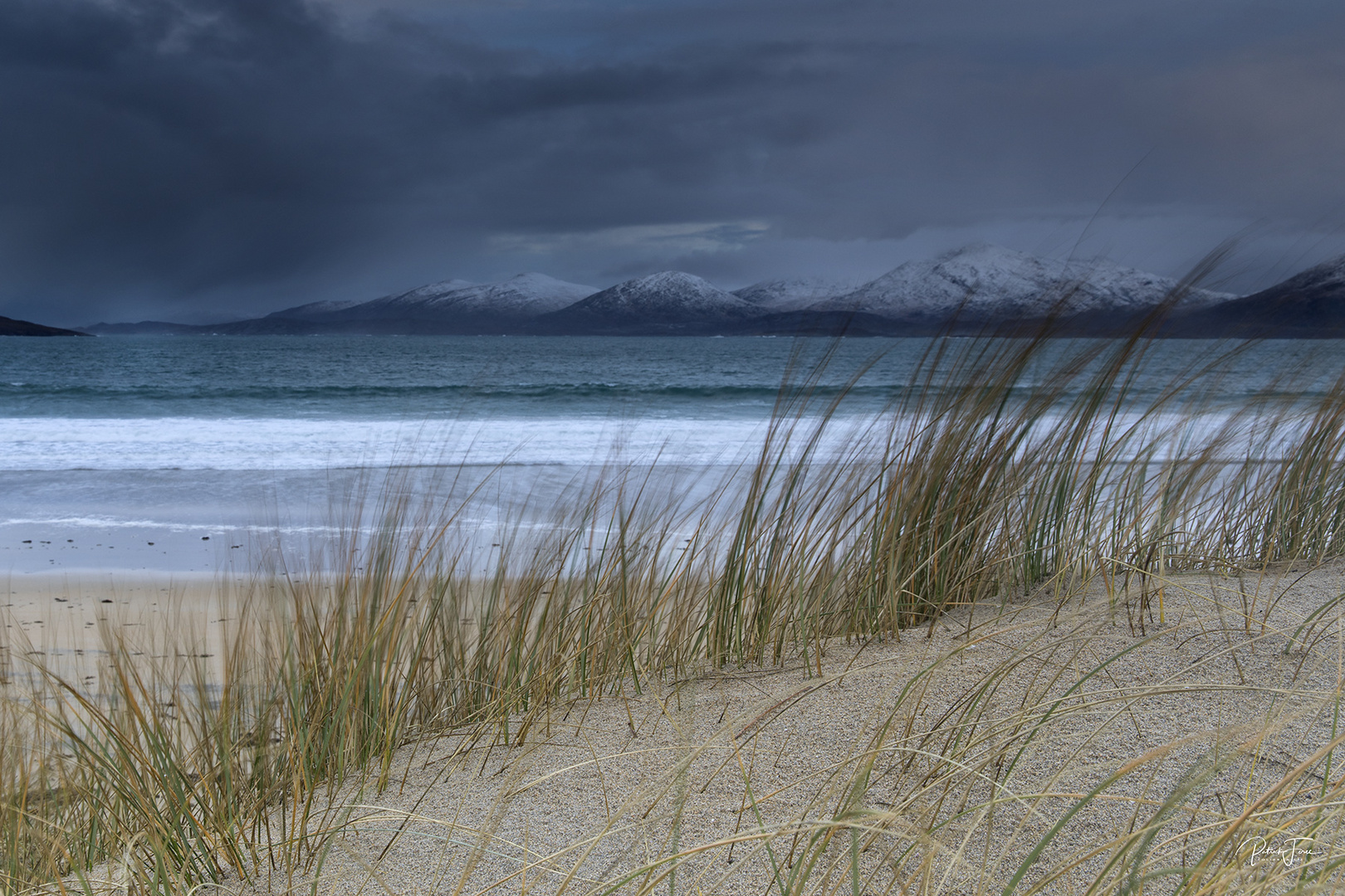 Dans les dunes