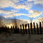 Dans les dunes