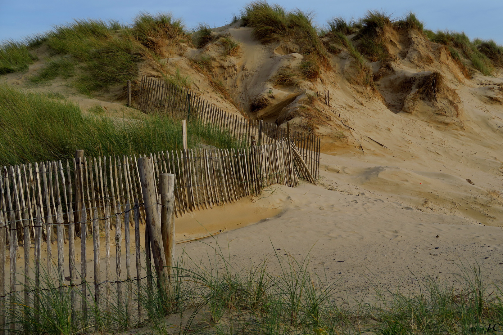 " Dans les dunes." photo et image paysages, mers et océans, lumière à marée basse Images