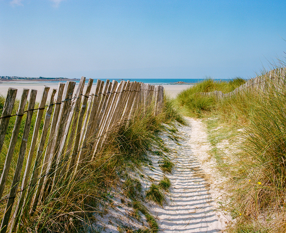 Dans les dunes du Dossen