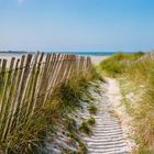 Dans les dunes du Dossen