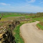 ...dans les environs de Arbois/Jura !!!...