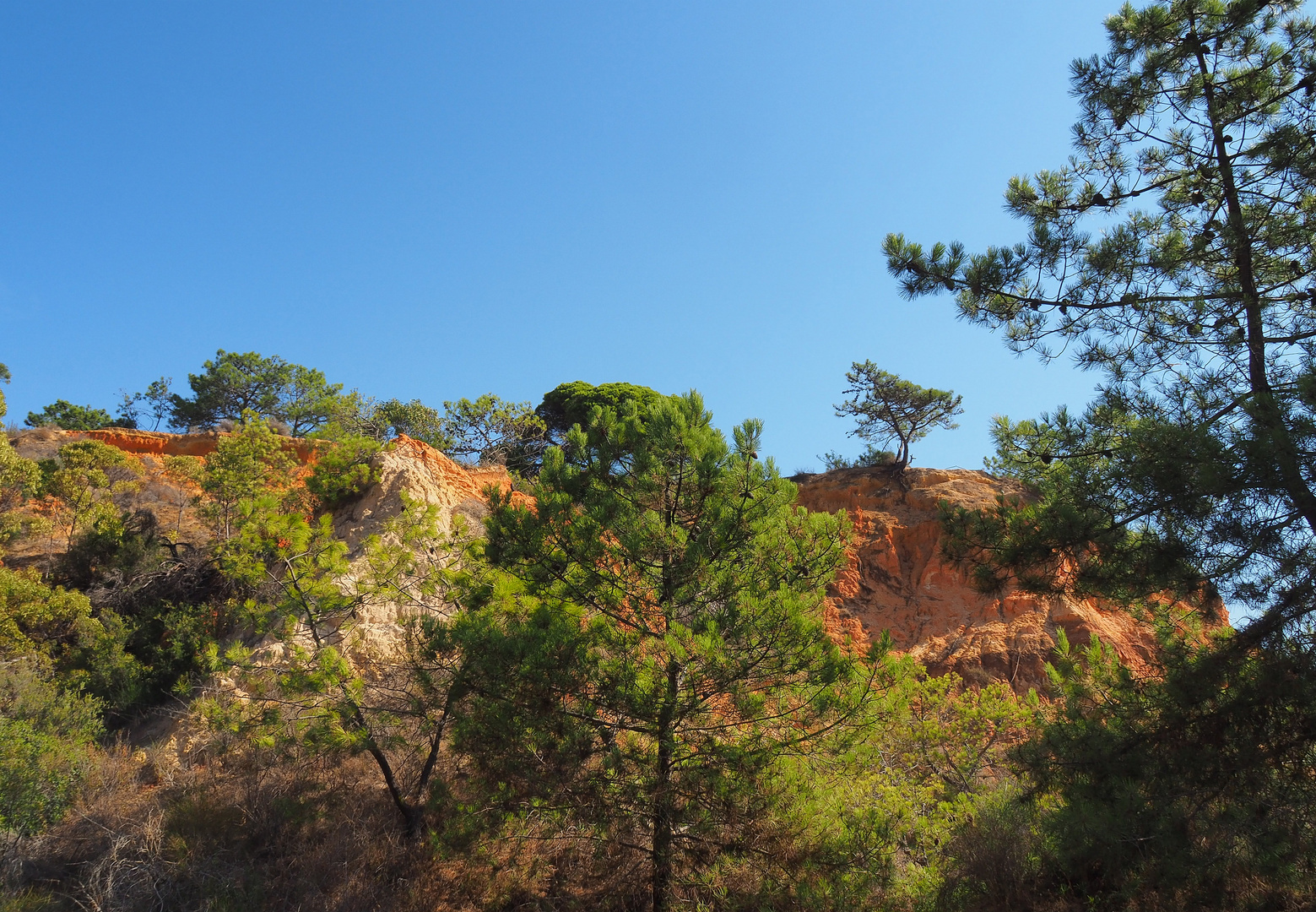 Dans les falaises d’Algarve