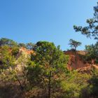 Dans les falaises d’Algarve