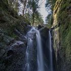 Dans les gorges