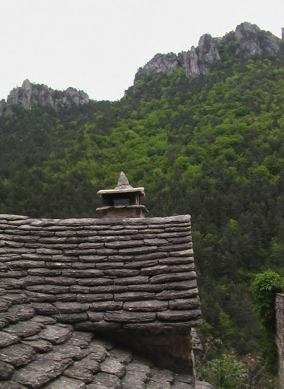 Dans les gorges de la Jonte (Lozère)