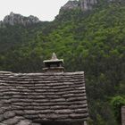 Dans les gorges de la Jonte (Lozère)