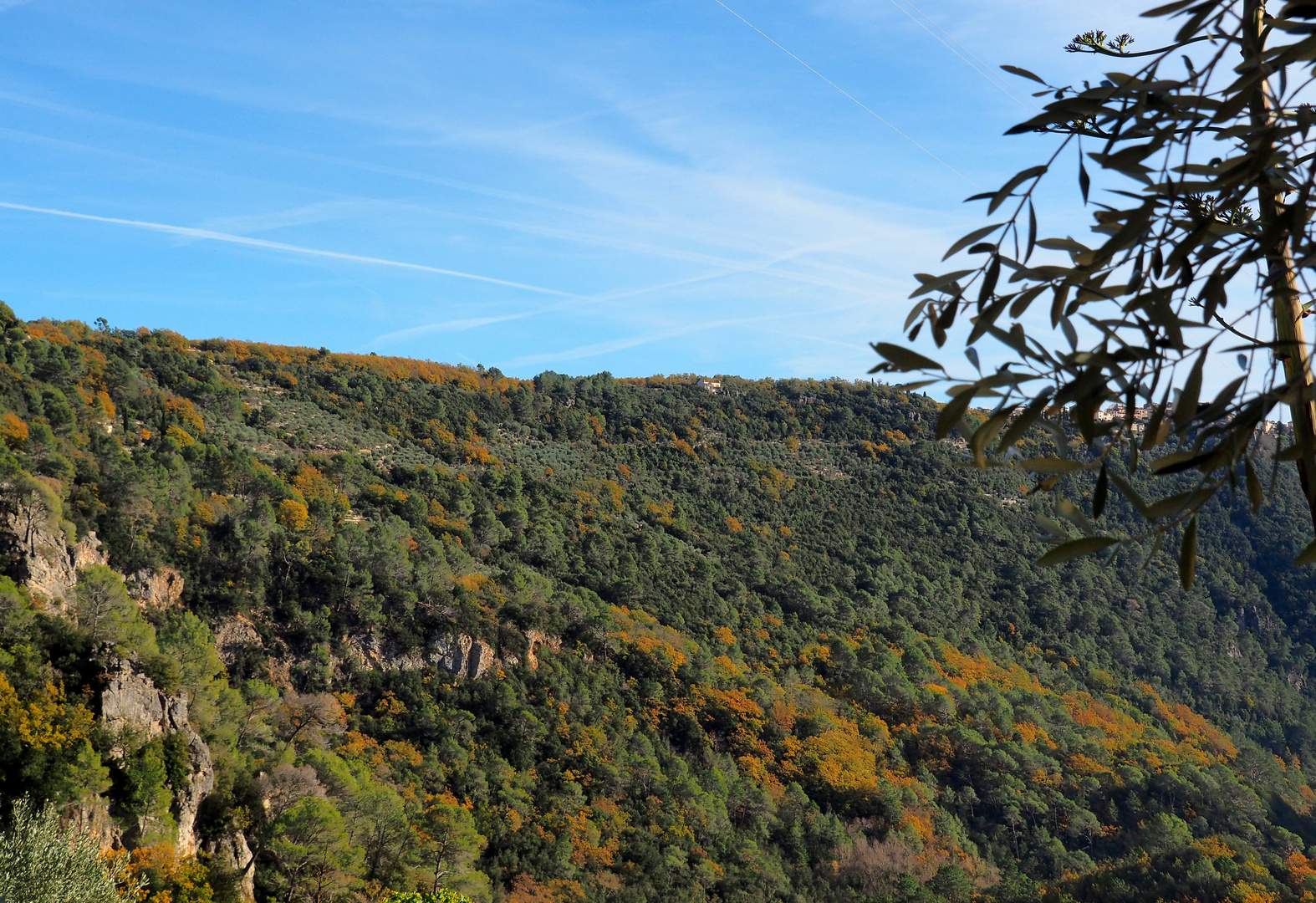 Dans les gorges de la Siagne