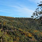 Dans les gorges de la Siagne