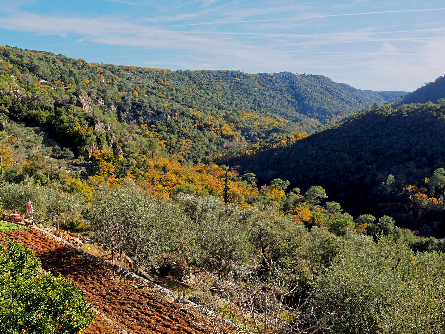 Dans les gorges de la Siagne