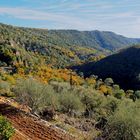 Dans les gorges de la Siagne