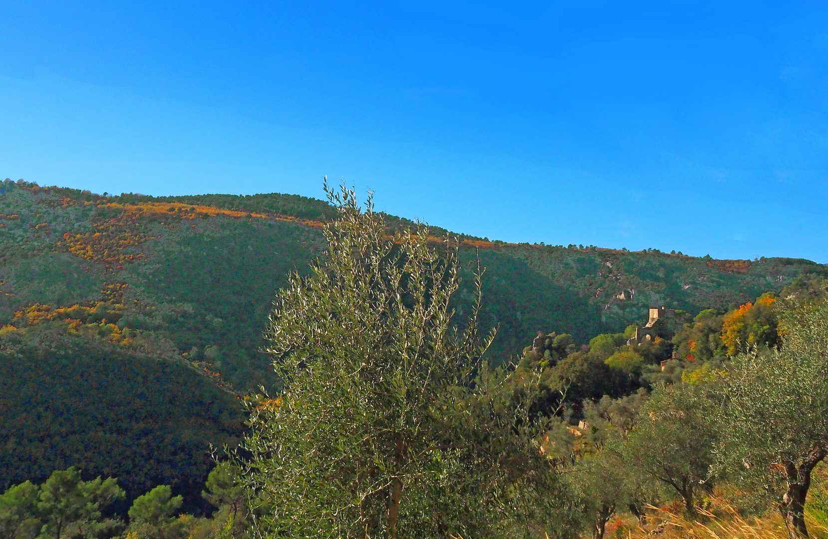 Dans les gorges de la Siagne