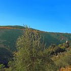 Dans les gorges de la Siagne