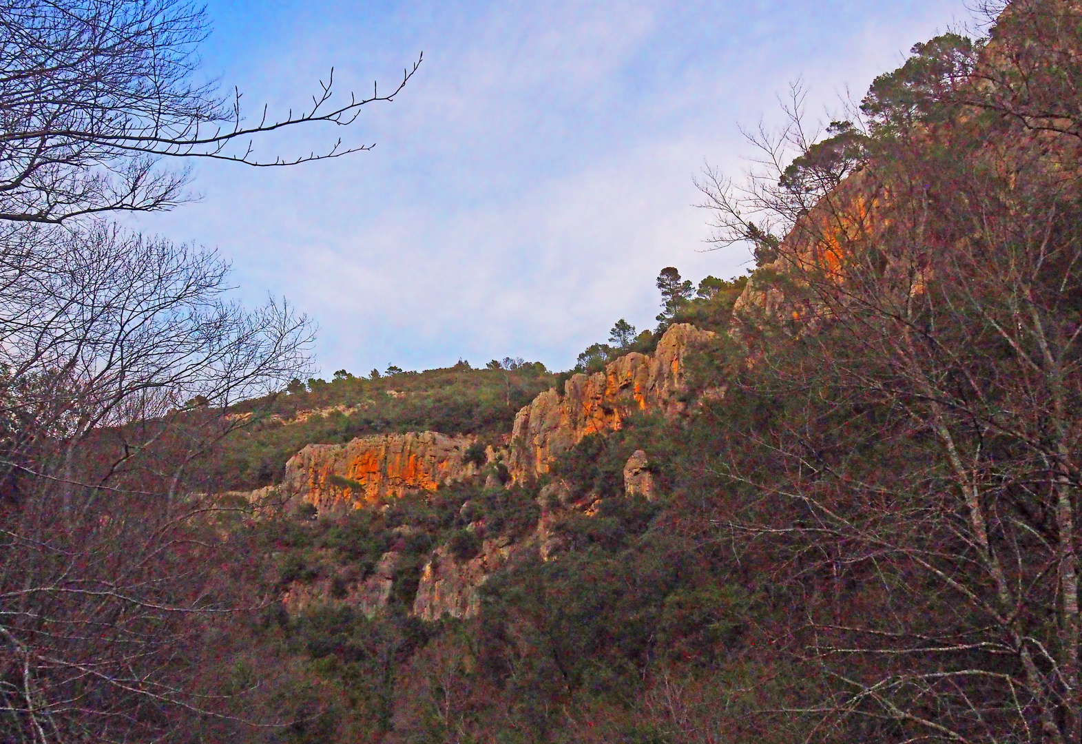 Dans les gorges de la Siagne