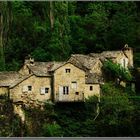 Dans les Gorges du TARN