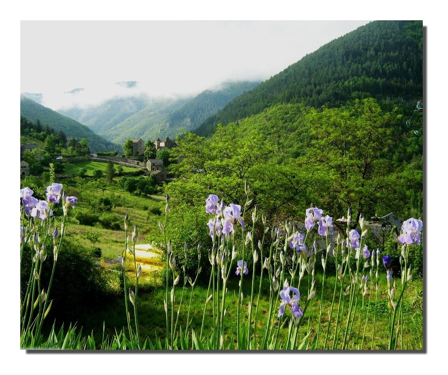 Dans les gorges du Tarn