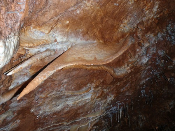 Dans les grottes les plus profond sous la terre