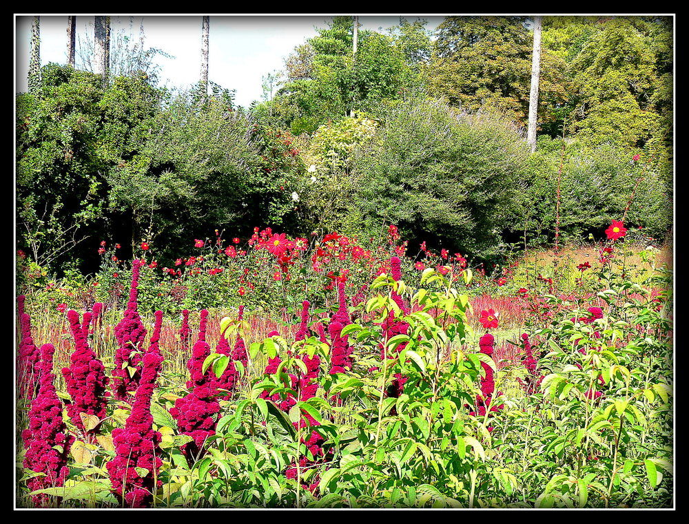 DANS LES JARDINS