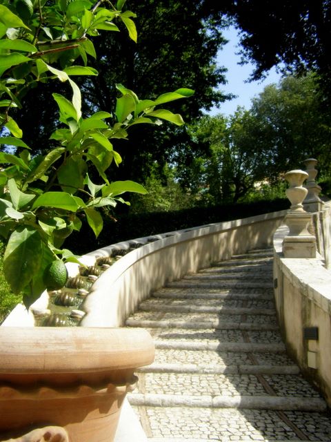 Dans les jardins de la Villa d'Este (Tivoli - Italie)