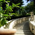 Dans les jardins de la Villa d'Este (Tivoli - Italie)