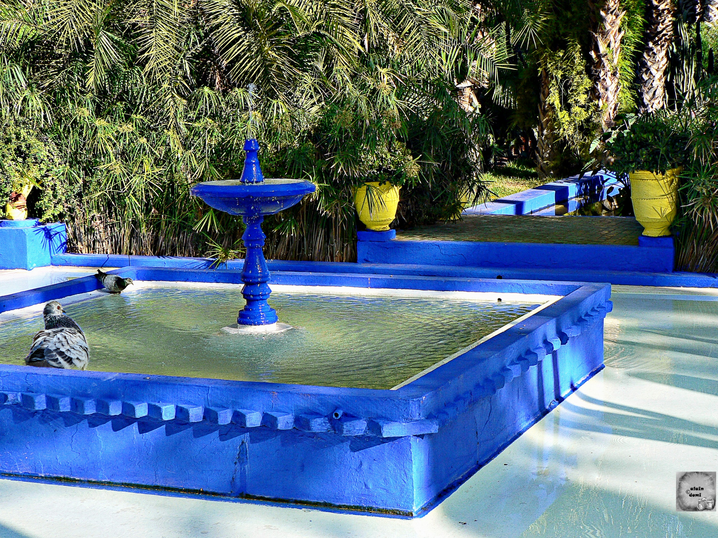 Dans les jardins de Majorelle