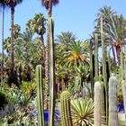 Dans les jardins de Majorelle, Maroc