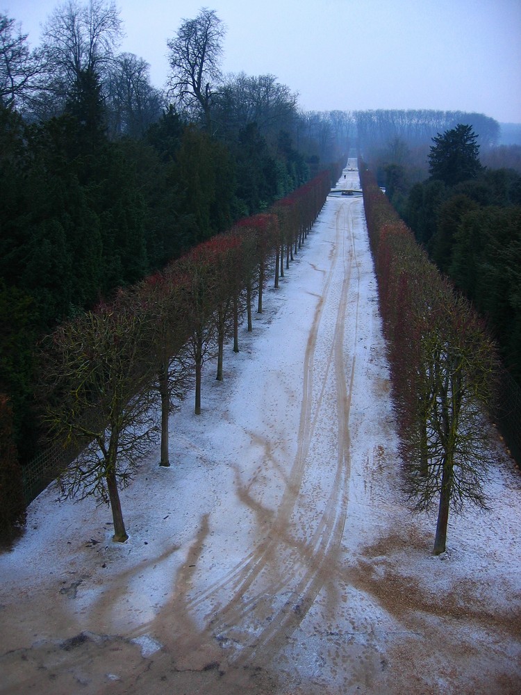 Dans les jardins d'hiver