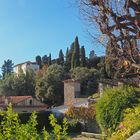 Dans les jardins du Monastère de Cimiez