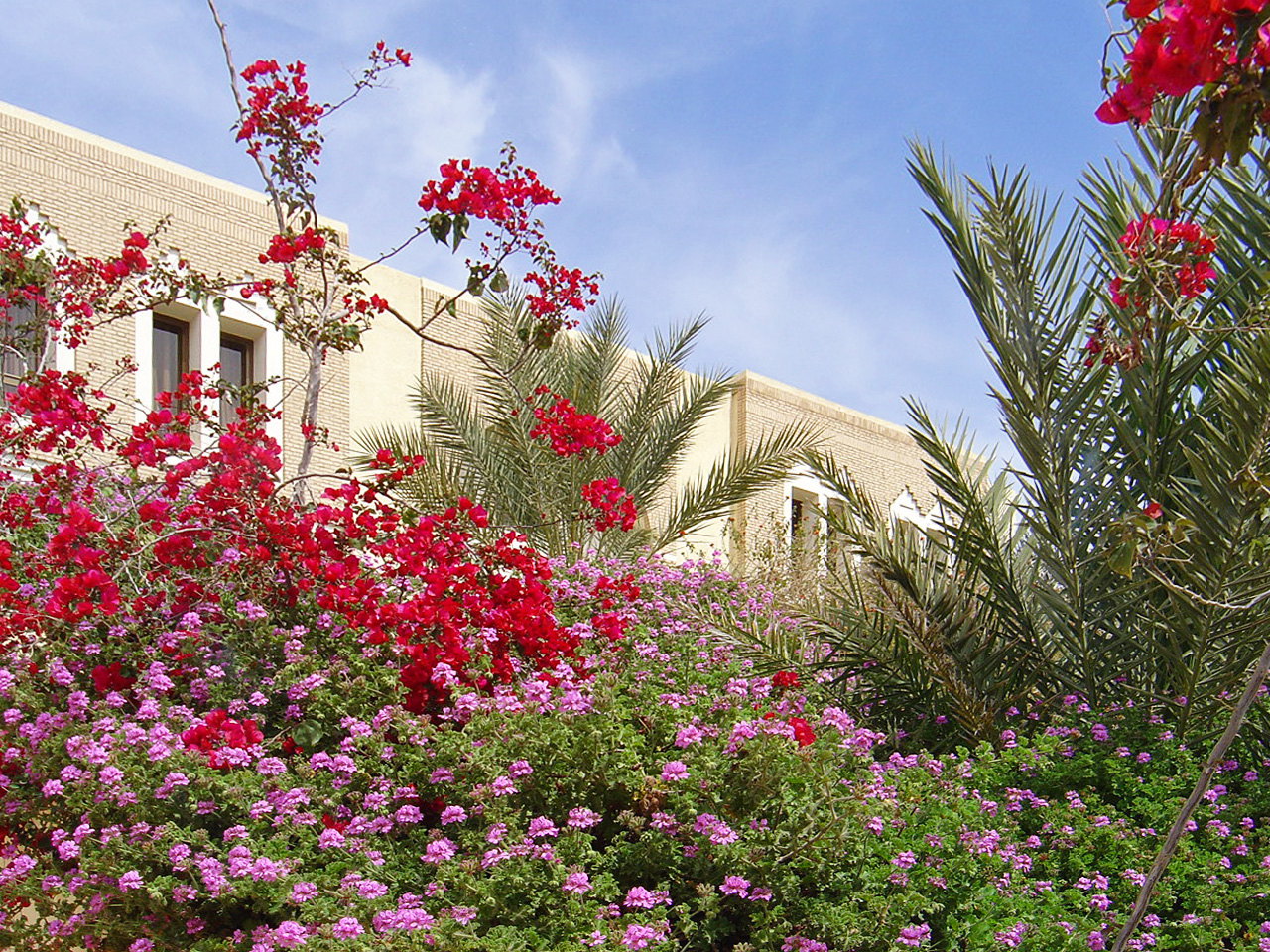 Dans les jardins