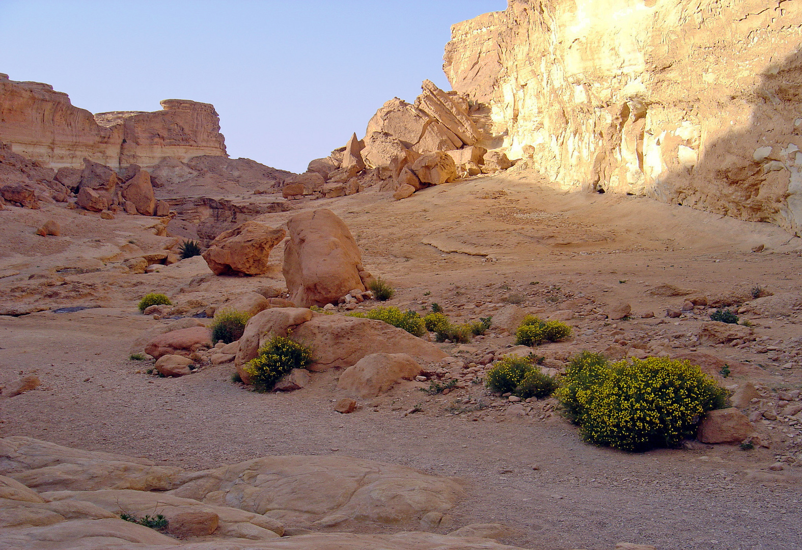 Dans les montagnes qui bordent le Chott El Jerid