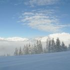 Dans les nuages , un rayon de soleil !!!