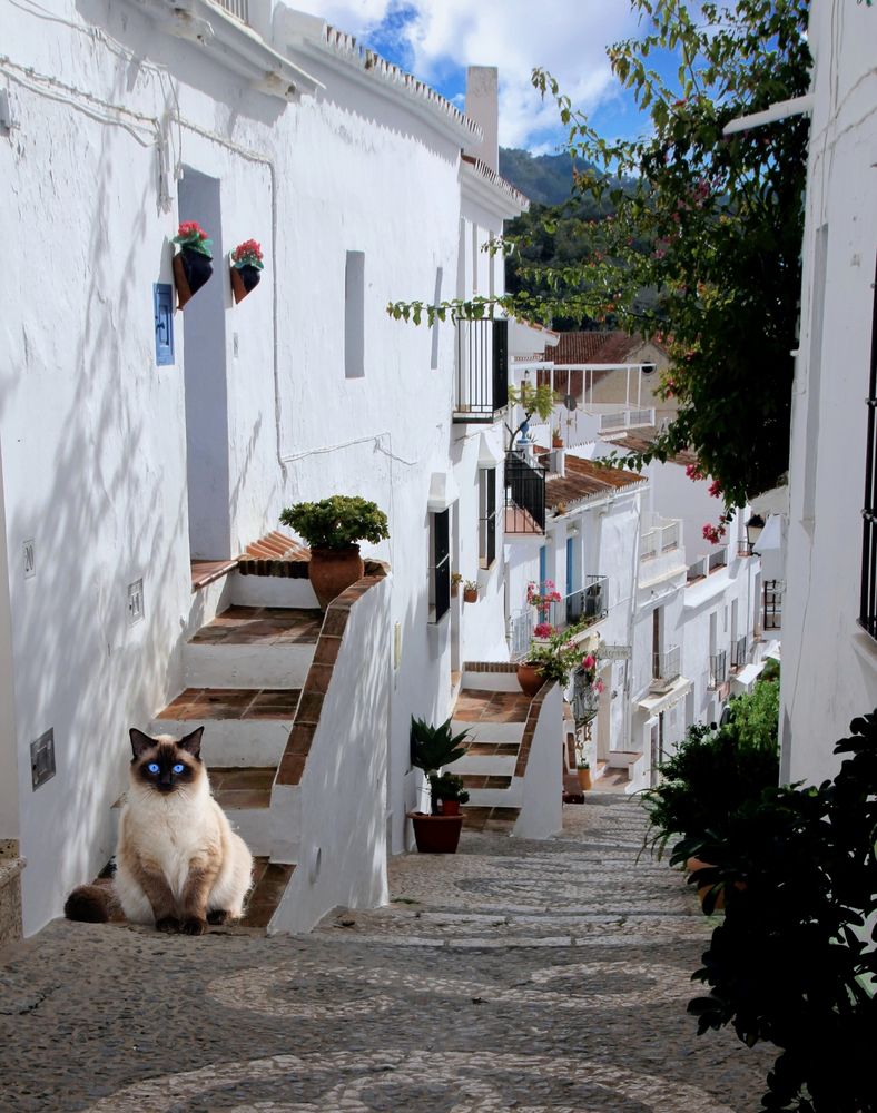 Dans les petites rues de Frigiliana